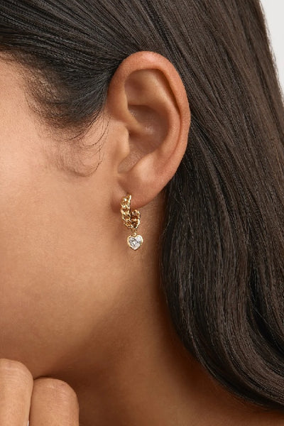 BY CHARLOTTE - RADIANT HEART CURB HOOP EARRINGS - GOLD - PERTH STOCKIST - AUSTRALIAN STOCKIST - WA STOCKIST - AUSTRALIA STOCKIST - AUS STOCKIST - PERTH BOUTIQUE - WA BOUTIQUE - AUS BOUTIQUE - AUSTRALIA BOUTIQUE