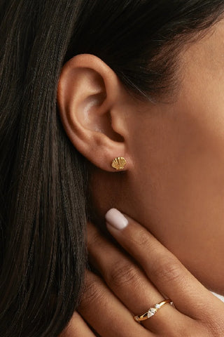 BY CHARLOTTE - BY THE SHORE SHELL STUD EARRINGS - GOLD - PERTH STOCKIST - AUSTRALIAN STOCKIST - WA STOCKIST - AUSTRALIA STOCKIST - AUS STOCKIST - PERTH BOUTIQUE - WA BOUTIQUE - AUS BOUTIQUE - AUSTRALIA BOUTIQUE 