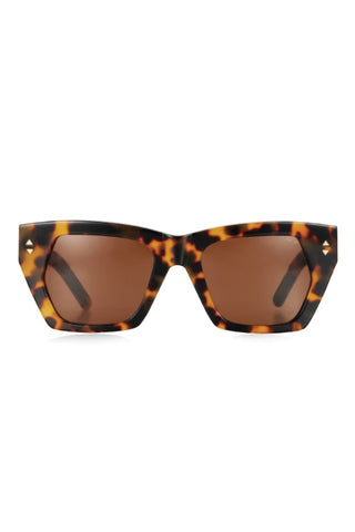 PARED EYEWEAR - LO & BEHOLD - TORTOISE