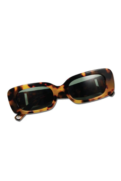 PARED EYEWEAR - SOLEIL SOLEIL INTI - TORTOISE