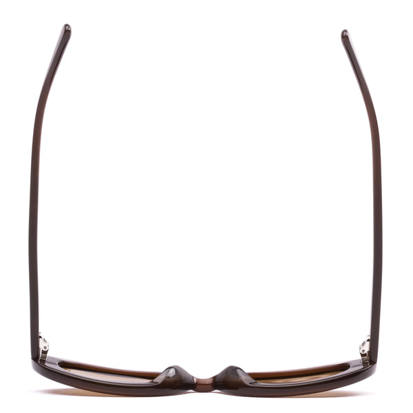 Top-down studio view of the Sito Shades Lourdes oval sunglasses in translucent milky coco brown acetate showing the curved arms and frame structure.