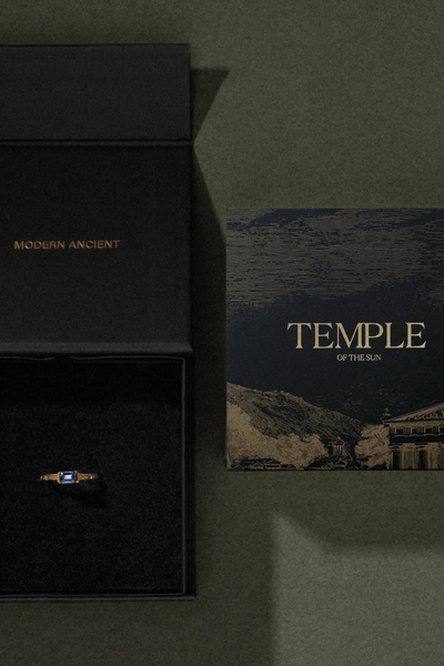 Top-down view of an open black Temple of the Sun branded gift box and illustrated brand card on a green background.
