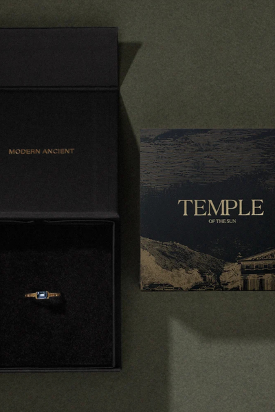Top-down view of an open black Temple of the Sun branded gift box and illustrated brand card on a green background.
